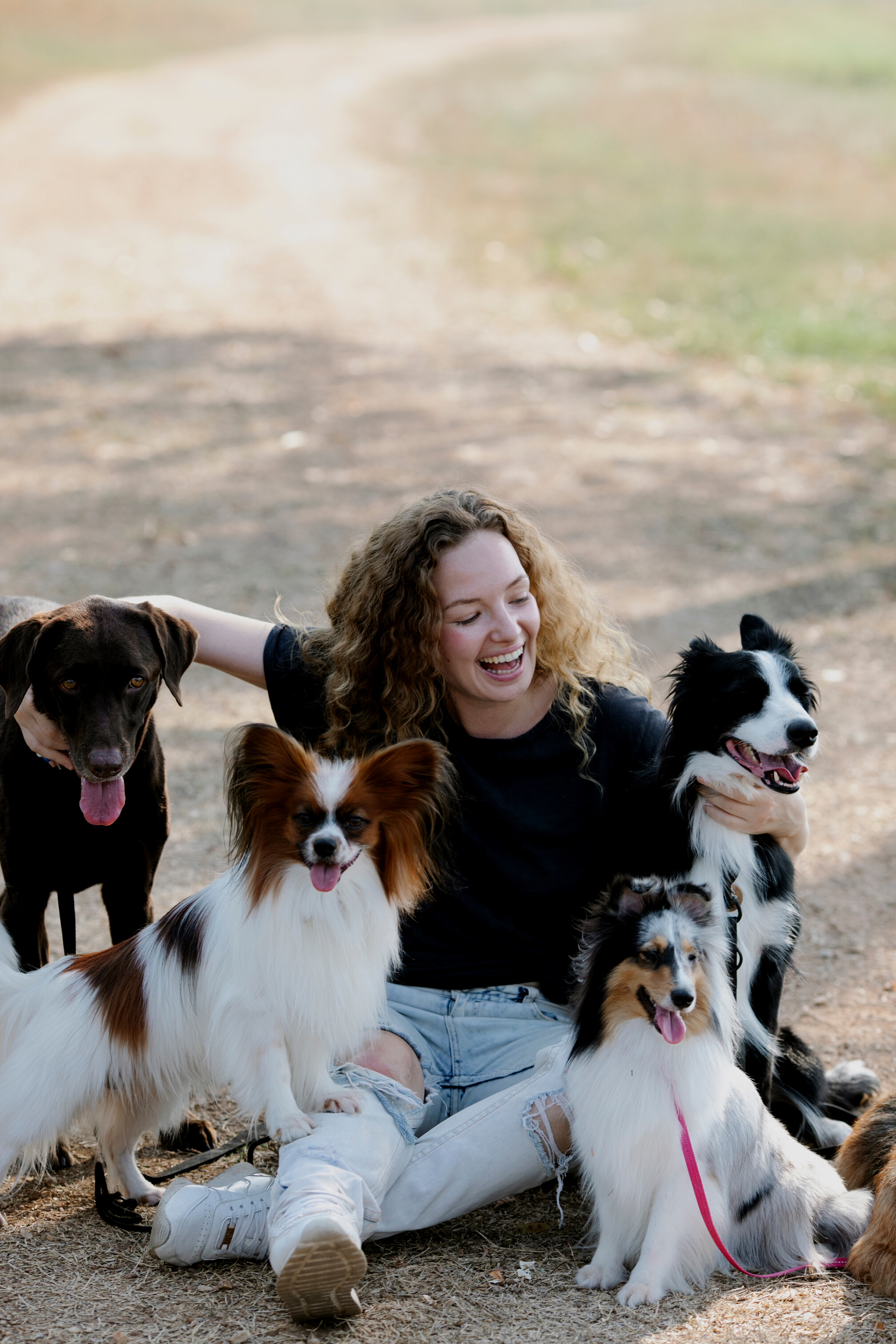 Delighted woman petting dogs on countryside road